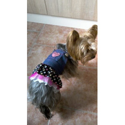 robe jean et strass pour yorkshire