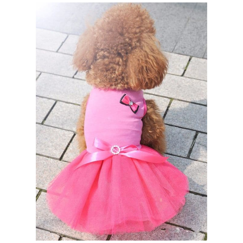 Robe rose oxford pour chienne