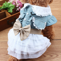 Robe col dentelle pour femelle