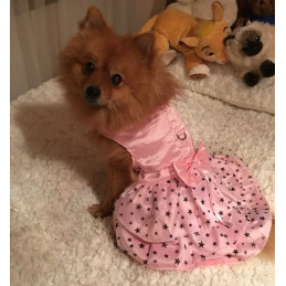 Robe glamour pour chienne
