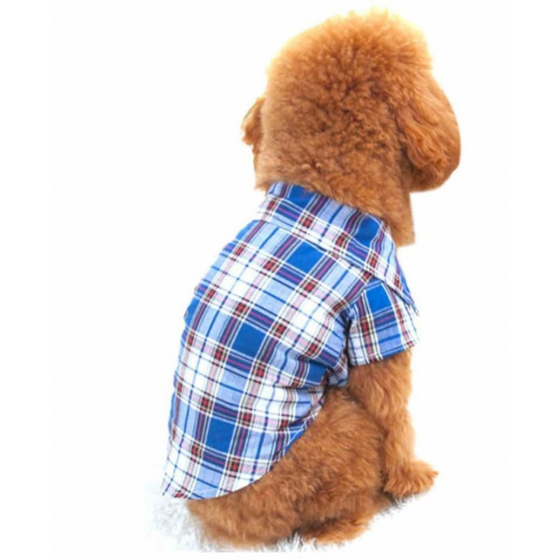 Chemise bleue à carreaux pour chien