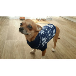 chandail tricot pour chien