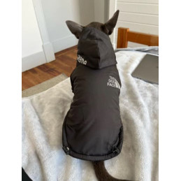 manteau stylé pour chien