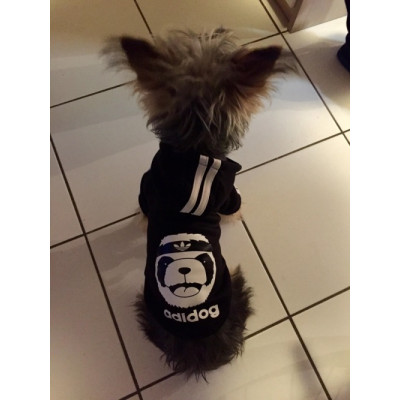 sweat capuche adidog pour chien