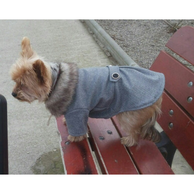 manteau chien om