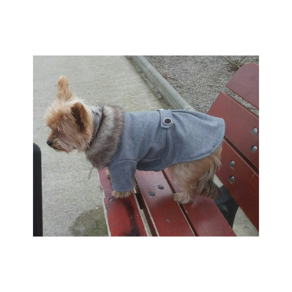 manteau chien om