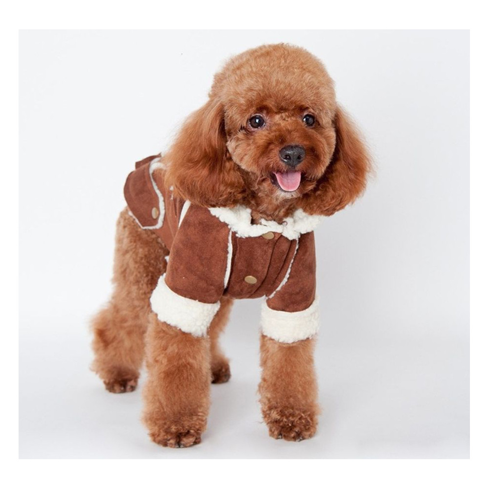 Imperméable à pois colorés pour chienne tenue de pluie Vêt