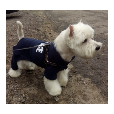 Combinaison police pour petit chien
