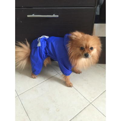 habit imperméable pour chien