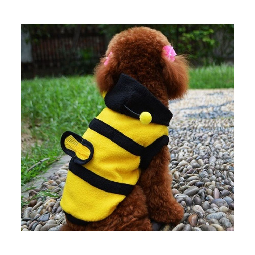 Déguisement d'abeille jaune et noir pour chien