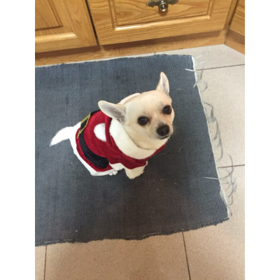 COSTUME PÈRE NOËL POUR CHIEN