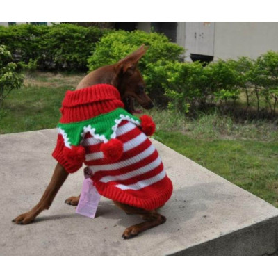 chien habillé en lutin