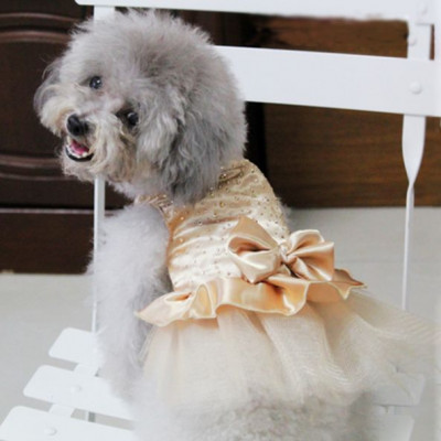 Robe de soirée pour femelle