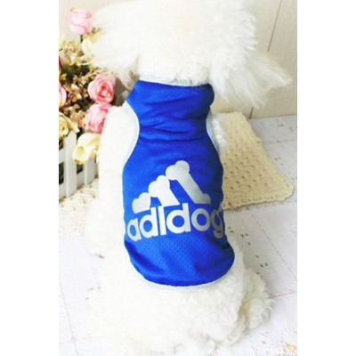 Caniche en maillot adidog