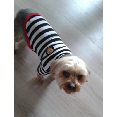 maillot à rayures pour chien