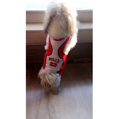 Maillot de basketball pour chien