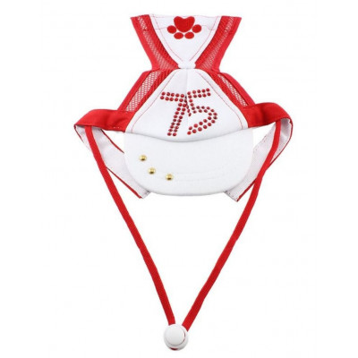 Casquette originale pour chien