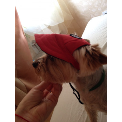 casquette tissu rouge pour chien