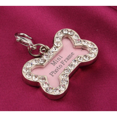 Pendentif pour collier pour chien