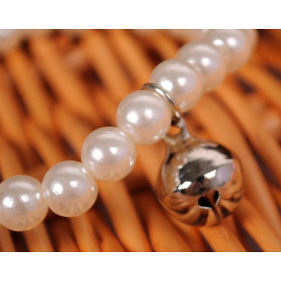 Collier avec clochette pour femelle