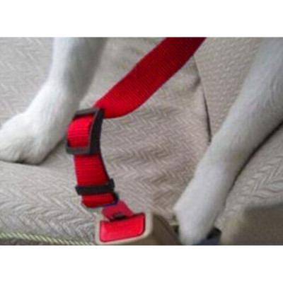 CEINTURE DE SÉCURITÉ Voiture Pour Chien Laisse Réglable Résistante