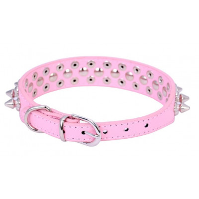 collier molosse pour petit chien