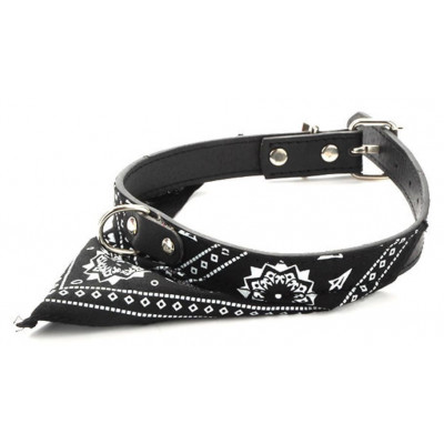 bandana noir pour petit chien