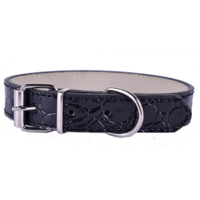 collier crocodile pour petit chien