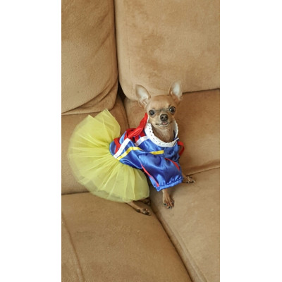 Robe de blanche-neige pour chihuahua