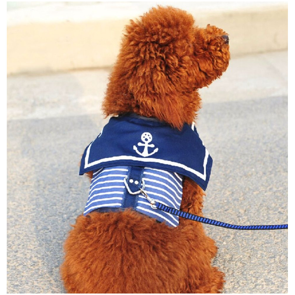 Harnais veste pour petit chien - gilet accessoire mode - Vêt'chien