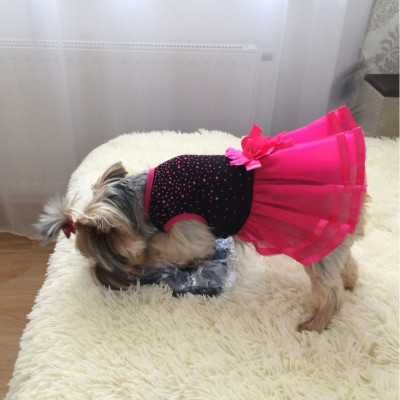 Robe rose à fleurs pour chien