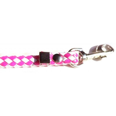 accessoire pour chien