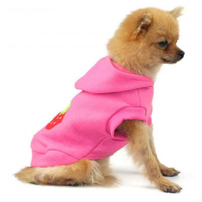 Pull rose avec fraises pour chihuahua