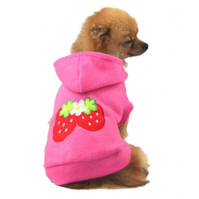 Pull motif fraises pour chien