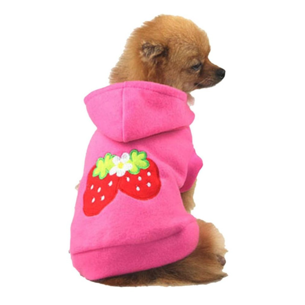 Pull motif fraises pour chien