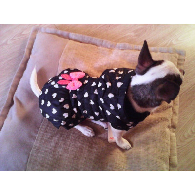 Manteau rembourré pour chien