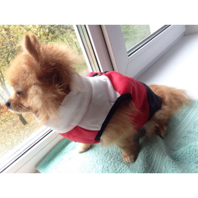 manteau gilet pour petit chien