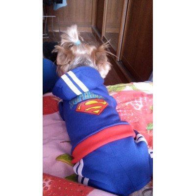 tenue sport pour chien