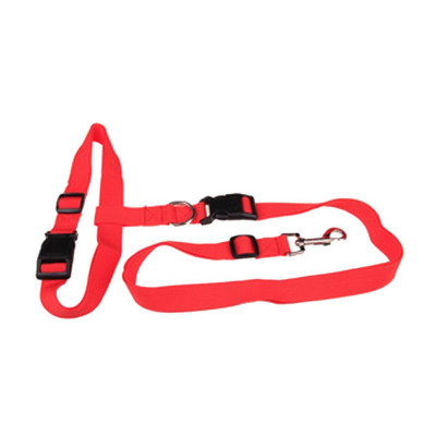 laisse et ceinture pour sport canin