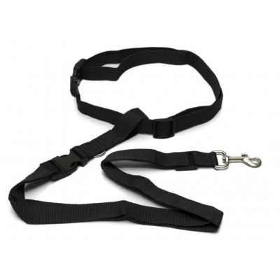 ceinture ventrale et laisse pour courir avec son chien