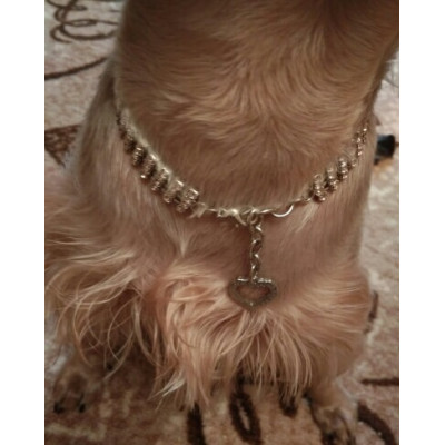 Bijou strass pour petit chien