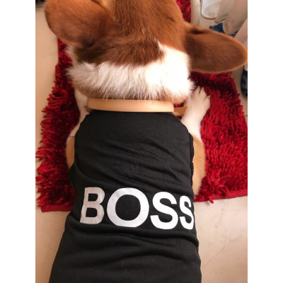 Inscription Boss vetement chien