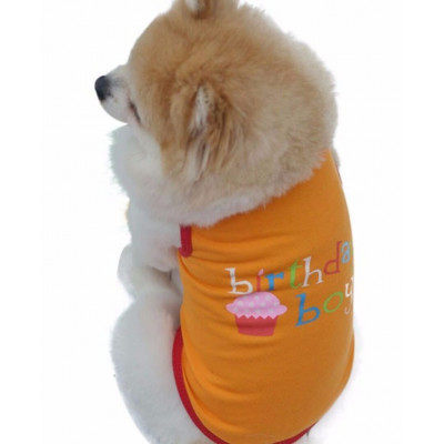 maillot birthday pour chien