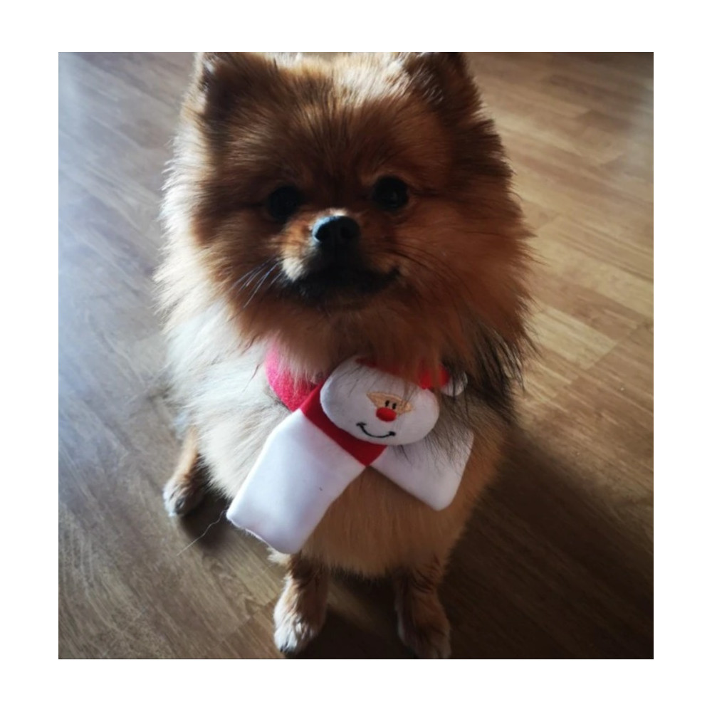 tour de cou de Noël pour chien
