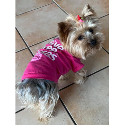 t-shirt pour petit chien