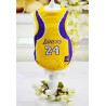 maillot sport basket pour chien