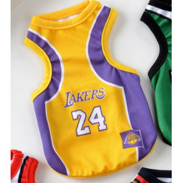 tenue équipe de basket nba