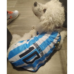 maillot Messi football pour chien