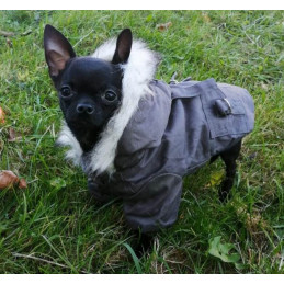 manteau pour chihuahua