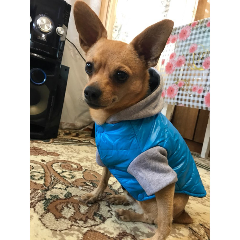 Manteau de Luxe pour chien - Manteau pour chien en jean